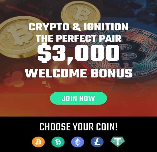 Crypto Casino Bonus Offer.
